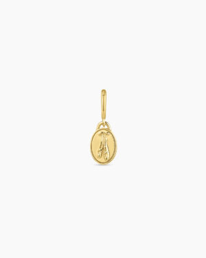 Varsity Parker Charm