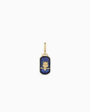 Power Gemstone Wisdom Parker Charm