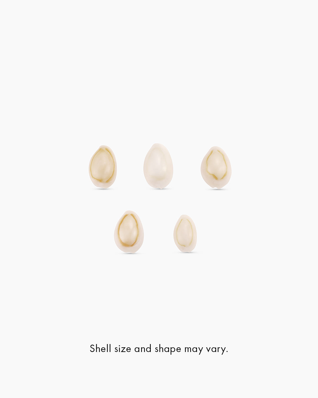 255-204-388-G_3_1.jpg